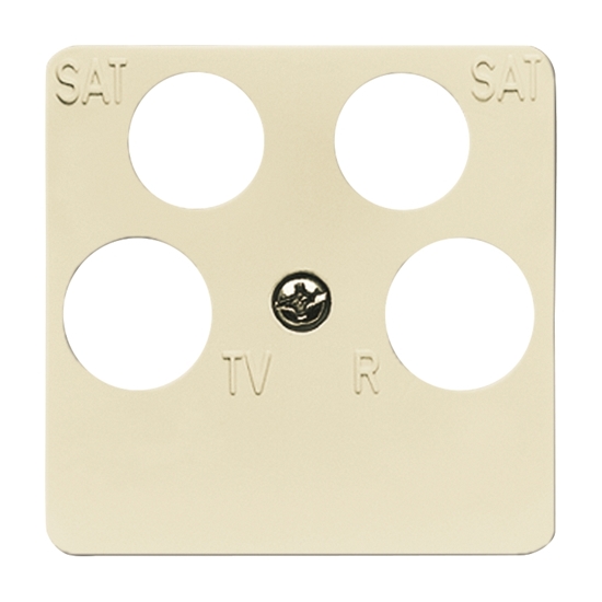 1St. Busch-Jaeger 1743/10-04-212 Zentralscheibe, 50 x 50 mm Busch-Duro 2000 SI cremeweiß