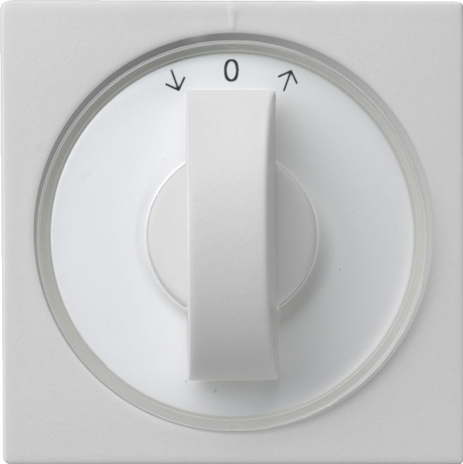 1St. Gira 0666015 Abd. Knebel Zeitschalter + Jalousie System 55 Grau m