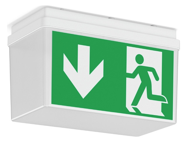 1St. RZB 672520.002.F1 GSUN 3, 4,1 W, weiss Decken- und Wandleu