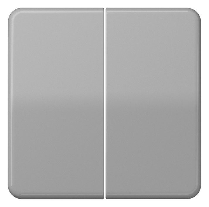 1St. Jung CD595GR Wippe für Serien-Wippschalter Serien-Tastschalter Doppel-Wechsel-Wippsch. Doppel-Wechsel-Tastsch. Doppel-Taster Multi-Switch und Taster BA 2fach CD 595 GR, grau glänzend