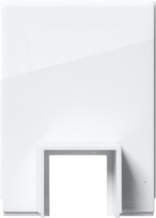 1St. Gira 106903 Adapter Kanaleinf. 15 x 15 mm System 55 Reinweiß