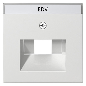 1St. Gira 028427 Abdeckung mit Beschriftungsfeld UAE IAE ISDN System 55 Reinweiß matt