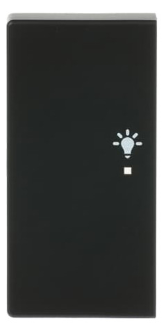 1St. Busch-Jaeger 6231-21-885 Wippe, 2-fach links, mit Symbol Licht Busch-free@home schwarz matt