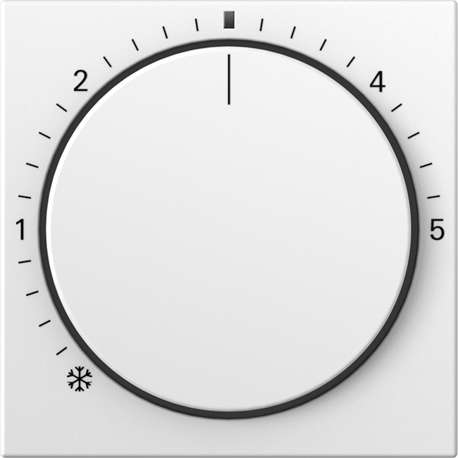 1St. Gira 270227 Abdeckung RTR Kontroll System 55 Reinweiß seidenmatt