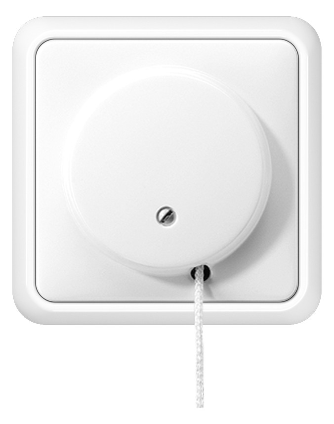 1St. Jung 5506ZUWW Zugschalter 10 AX 250 V Universal Aus-Wechsel volle Platte für Wand- und Deckenmontage 5506 ZU WW