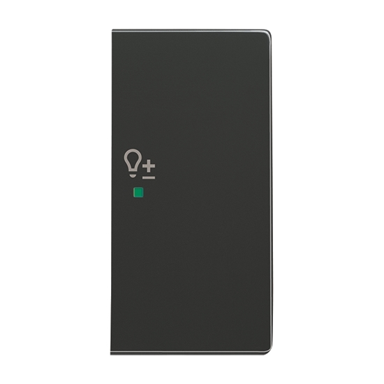 1St. Busch-Jaeger 6234-22-81 Wippe, 2-fach rechts, mit Symbol Dimmer Busch-free@home anthrazit