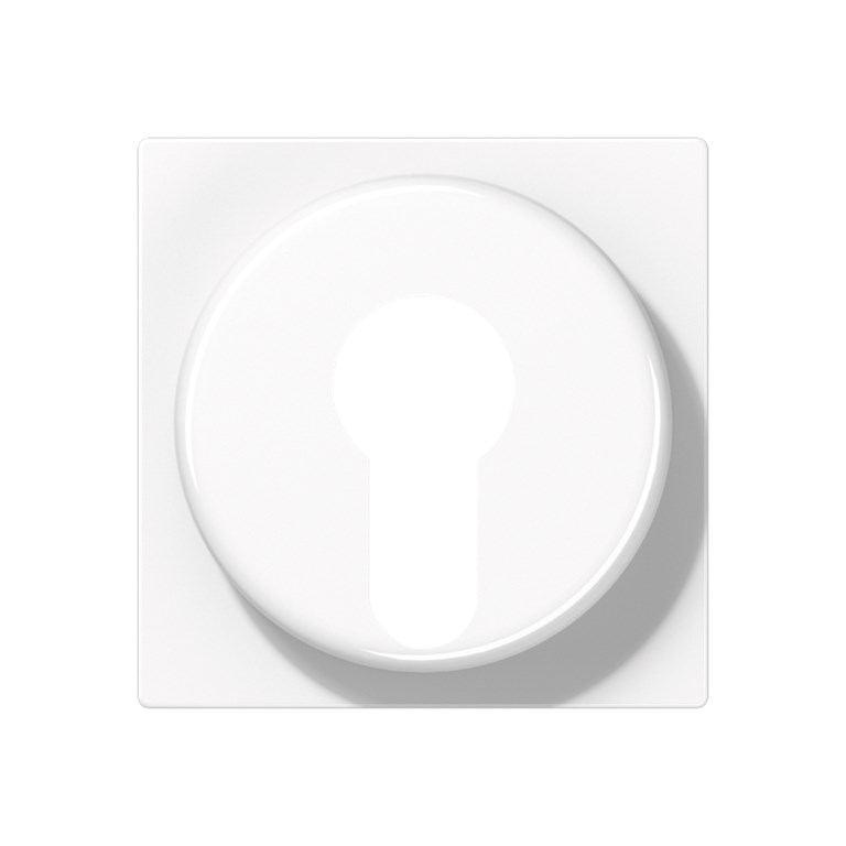 1St. Jung A528PLWW Abdeckung für Schlüsselschalter 104.28 CD 104.18 WU … A 528 PL WW