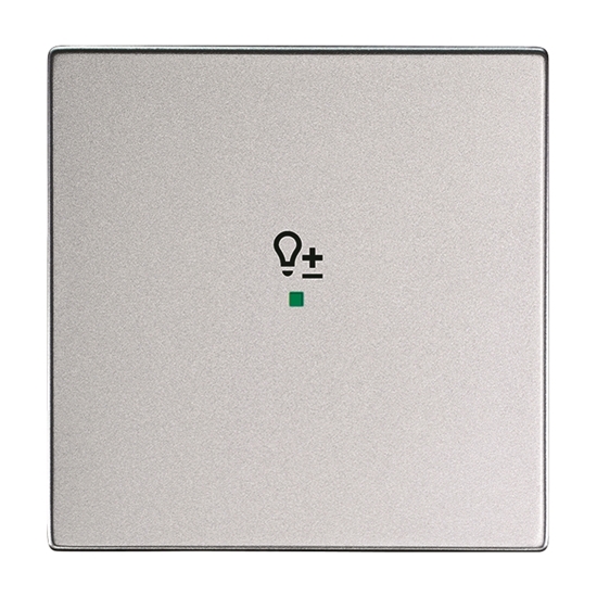 1St. Busch-Jaeger 6234-10-83 Wippe, 1-fach, mit Symbol Dimmer Busch-free@home alusilber