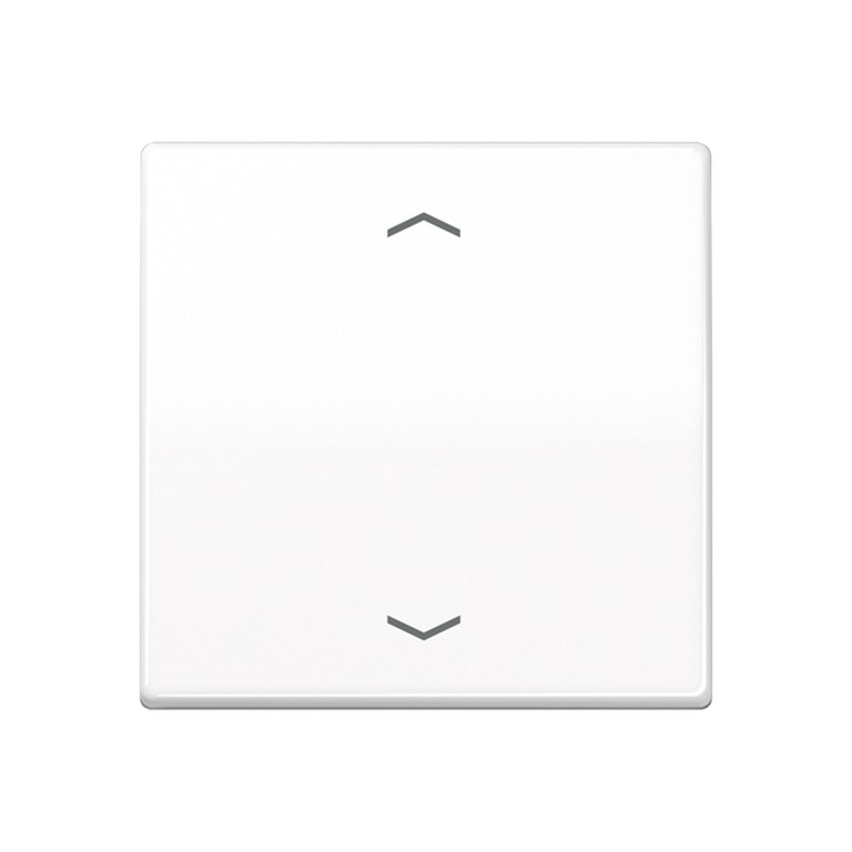 1St. Jung AS1700PWW Steuertaste Standard Symbole Pfeile AS 1700 P WW