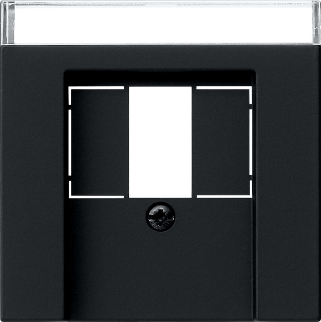 1St. Gira 0876005 Abd. BSF TAE USB System 55 Schwarz m