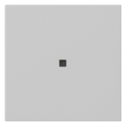 1St. Gira S3000 Bedienaufs.BT System 5368015 55 Grau m