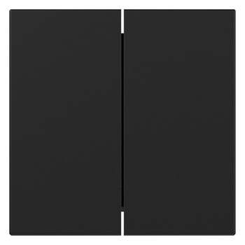 1St. Gira 3495005 Wippe 2-fach gerade System 55 schwarz matt