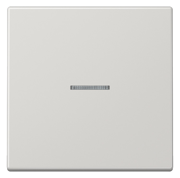 1St. Jung LS990KO5LG Wippe Linse Lichtleiter für Wipp-Kontrollschalter Tast-Kontrollschalter beleuchtbare Taster und , lichtgrau glänzend 1St. Jung LS990KO5LG Wippe Linse Lichtleiter für Wipp-Kontrollschalter Tast-Kontrollschalter beleuchtbare Taster und , l