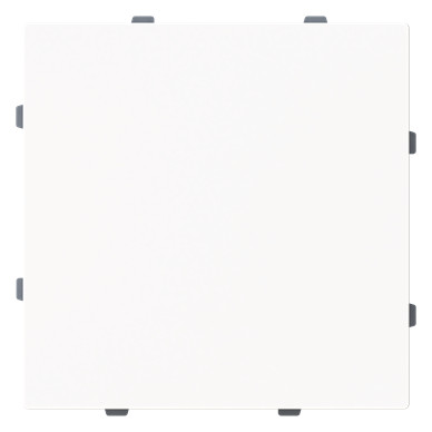 1St. Busch-Jaeger 1742-44M Blindzentralscheibe mit Tragring