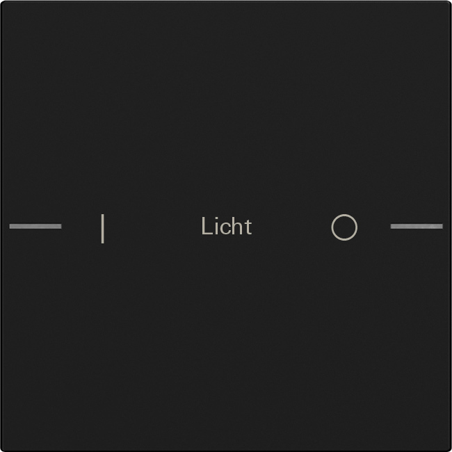 1St. Gira 5761005 Wippenset 1fach individuell für Tastsensor 4, Schwarz matt