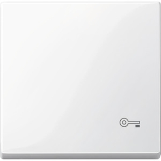 1St. Merten MEG3303-0319 Wippe für Kennzeichnung Schlüssel, polarweiß glänzend, System M 1St. Merten MEG3303-0319 Wippe für Kennzeichnung Schlüssel, polarweiß glänzend, System M