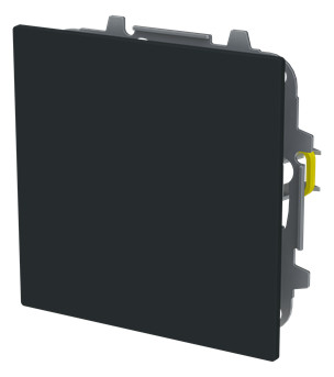 1St. Busch-Jaeger 1742-45M Blindzentralscheibe mit Tragring