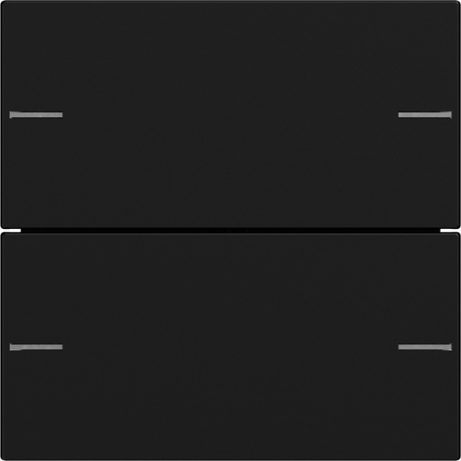 1St. Gira 5752005 Wippenset 2fach für Tastsensor 4, Schwarz matt