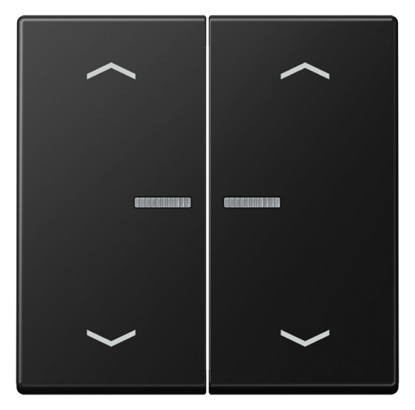 1St. Jung BT A 17102 P SWM Jung HOME Taster 2fach, mit Pfeilsymbole...