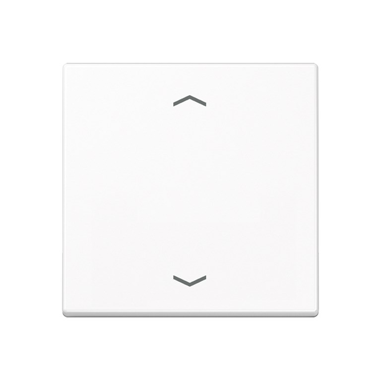 1St. Jung A1700PWW Steuertaste Standard Symbole Pfeile A 1700 P WW...
