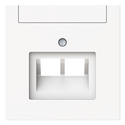 1St. Busch-Jaeger 1803-02-44M Zentralscheibe 2-fach UAE Beschriftungsfeld