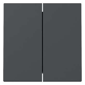 1St. Gira 329528 Wippe 2-fach System 55 anthrazit