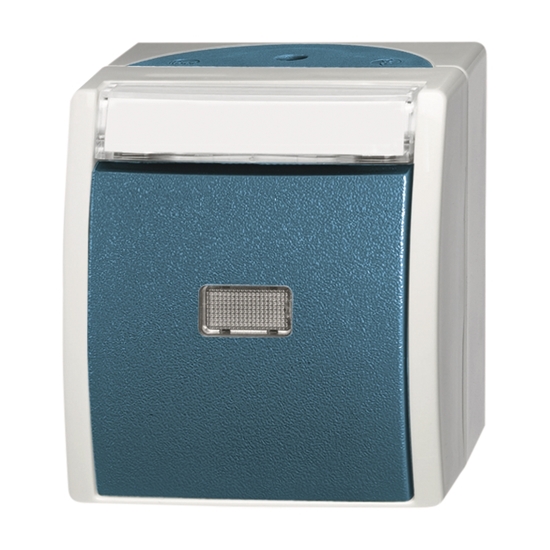 1St. Busch-Jaeger 2621 WN-53-201 Wipptaster, Schließer ocean (IP 44) grau/blaugrün