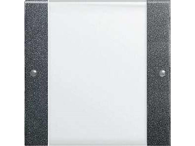 1St. Gira 213128 Wippenset 1fach mit Beschriftungsfeld System 55 Klar/Anthrazit