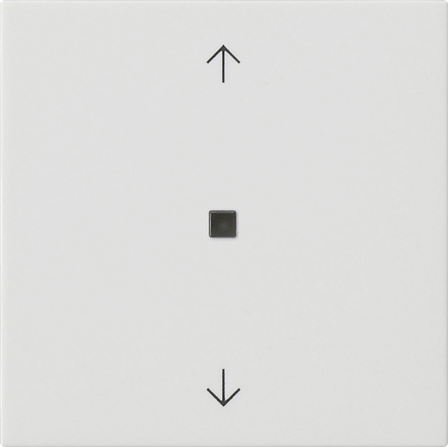 1St. Gira 549427 Gira eNet Funk Bedienaufs. Pfeile System 55 Reinweiß m