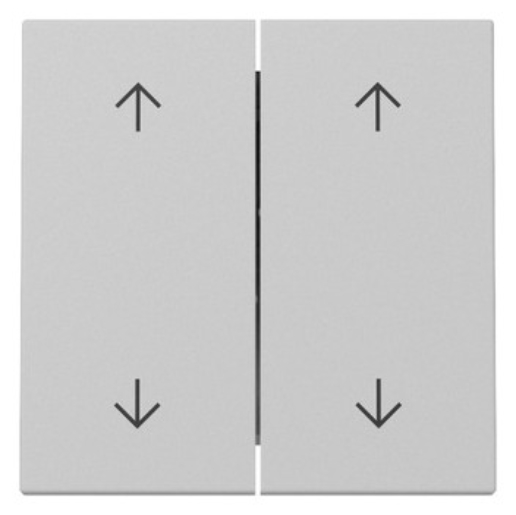 1St. Gira 3297015 Wippe 2-fach Pfeile System 55 grau matt