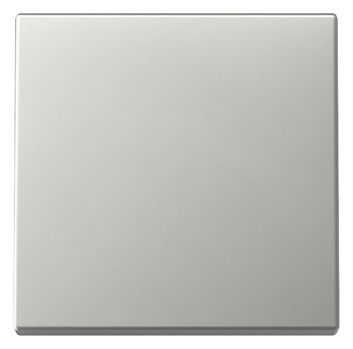 1St. Gira 3296600 Wippe System 55 edelstahl (lackiert)