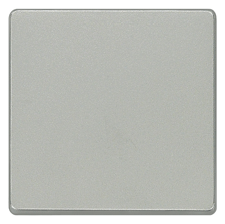 1St. Siemens 5TG6241 DELTA i-system Wippe neutral, aluminiumm