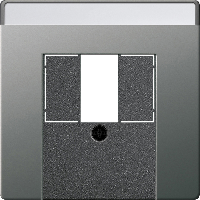 1St. Gira 0876600 Abd. BSF TAE USB System 55 Edelstahl