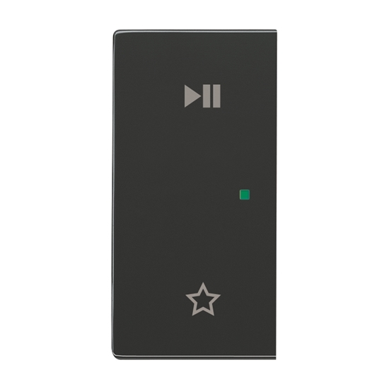 1St. Busch-Jaeger 6237-21-81 Wippe, 2-fach links, mit Symbol Play/Pause Busch-free@home anthrazit