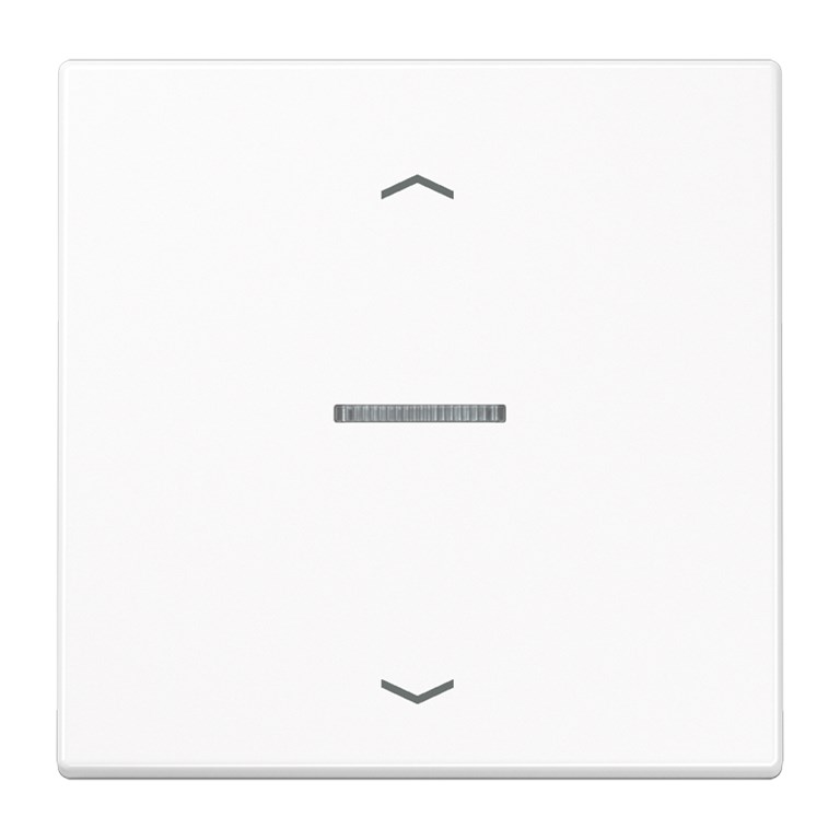 1St. Jung LS 101 KO5P WW Wippe mit Lichtleiter, mit Pfeilsymbolen 1St. Jung LS 101 KO5P WW Wippe mit Lichtleiter, mit Pfeilsymbolen