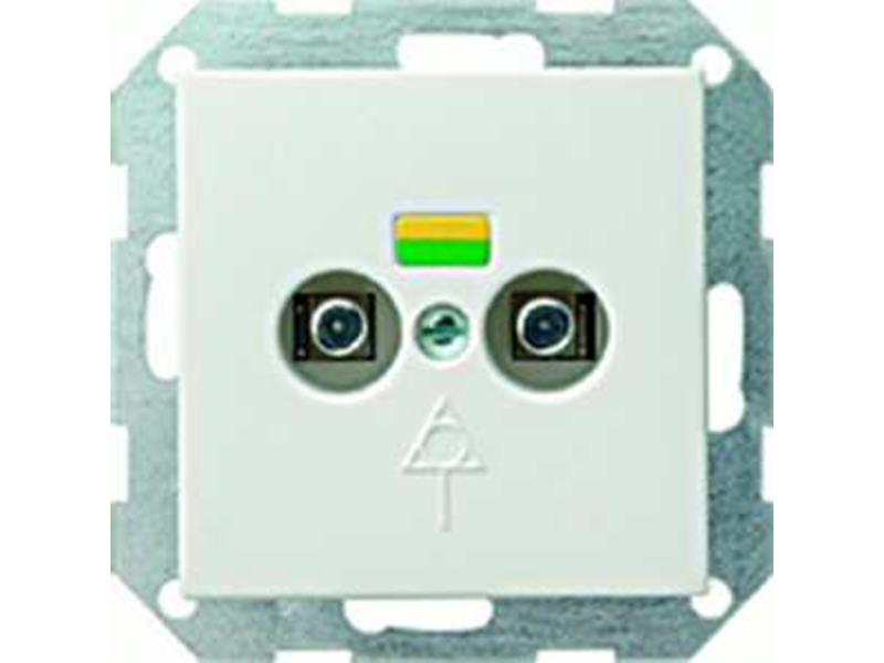 1St. Gira 040527 Potentialausgleich 2fach System 55 Reinweiß matt