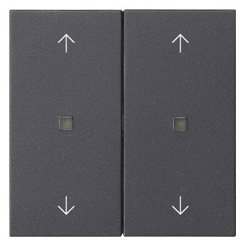 1St. Gira 538628 Wippe 2f Pfeile Kontrollf. System 55 Ant