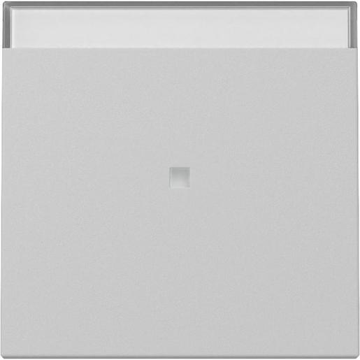 1St. Gira 3670015 Wippe Kontrollfenster + BSF System 55 grau matt