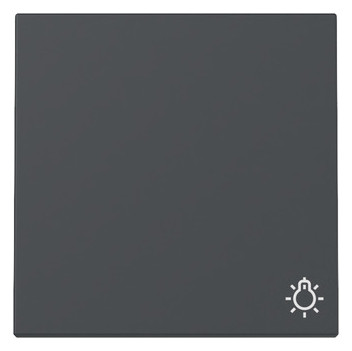 1St. Gira 328528 Wippe Symbol Licht System 55 anthrazit