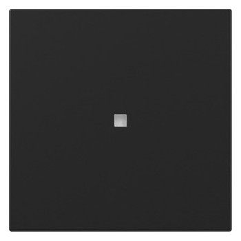 1St. Gira 3490005 Wippe gerade Kontrollfenster System 55 schwarz matt