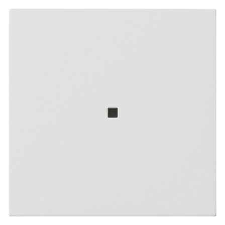 1St. Gira Wippe 1f unbedruckt 5371112 Kontrollf.Flächenschalter Reinweiß