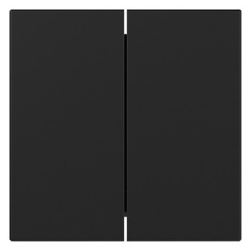 1St. Gira 3495005 Wippe 2-fach gerade System 55 schwarz matt