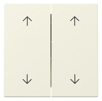 1St. Gira 329701 Wippe 2-fach Pfeile System 55 cremeweiß glänzend