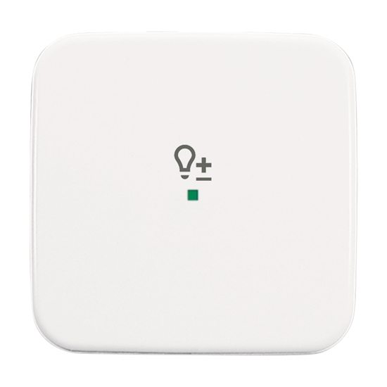 1St. Busch-Jaeger 6234-10-214 Wippe, 1-fach, mit Symbol Dimmer Busch-free@home alpinweiß