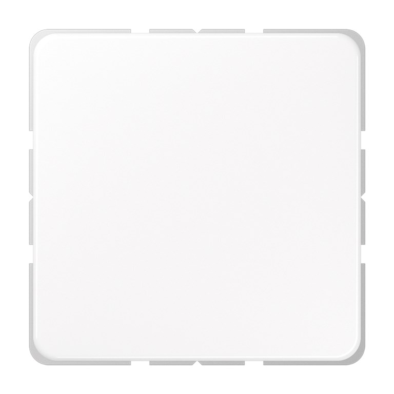 1St. Jung CD594-0WW Blind-Abdeckung Alpinweiß CD 594-0 WW 1St. Jung CD594-0WW Blind-Abdeckung Alpinweiß CD 594-0 WW...