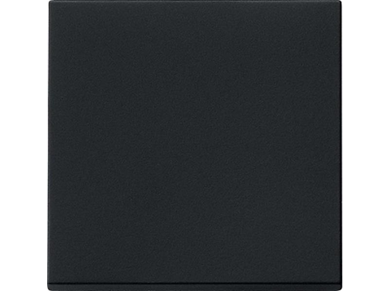 1St. Gira 0296005 Wippe System 55 Schwarz matt