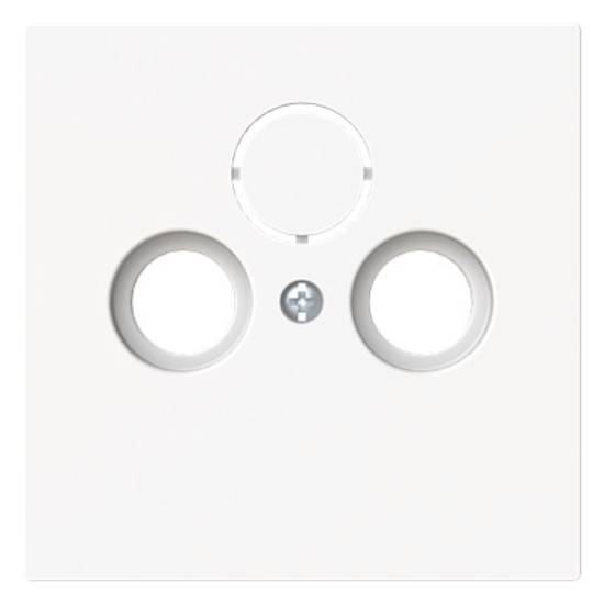 1St. Busch-Jaeger 1743-44M Zentralscheibe Antennen 2/3-fach