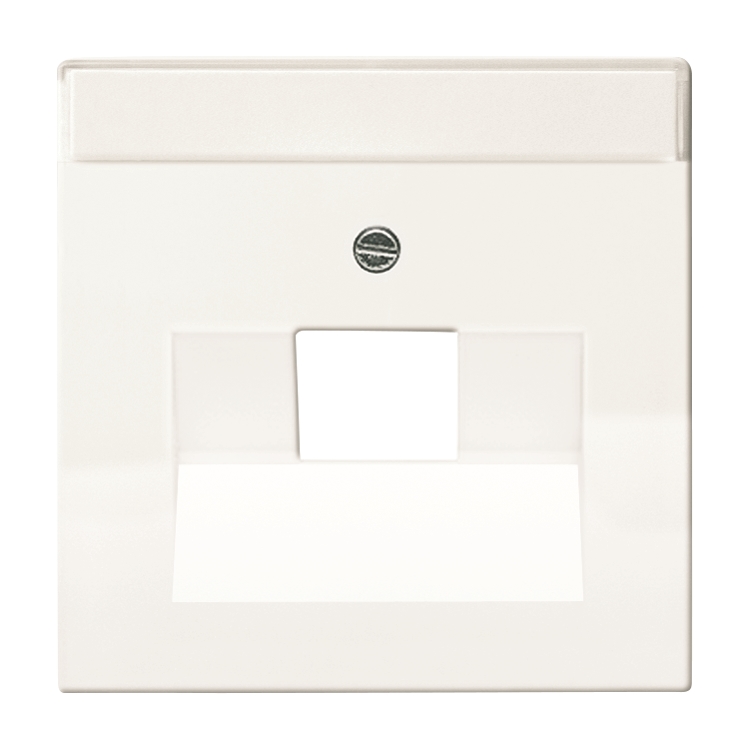 1St. Busch-Jaeger 1803-84 Zentralscheibe für UAE carat studioweiß