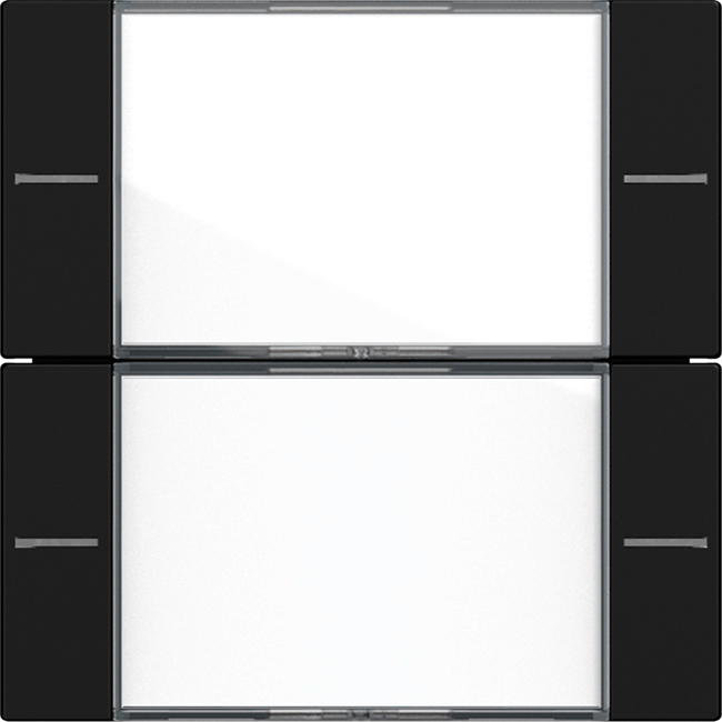 1St. Gira 5772005 Wippenset 2fach mit Beschriftungsfeld für Tastsensor 4, Klar Schwarz matt