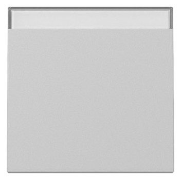 1St. Gira 3299015 Wippe BSF System 55 grau matt...